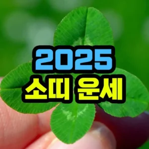 2025년 소띠 운세
