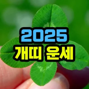2025년 개띠 운세