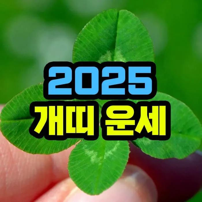 2025년 개띠 운세