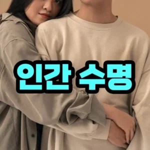 남녀 수명 차이