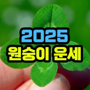 2025년 원숭이띠 운세