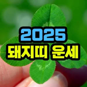 2025년 돼지띠 운세
