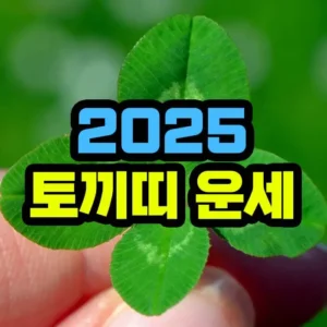 2025년 토끼띠 운세
