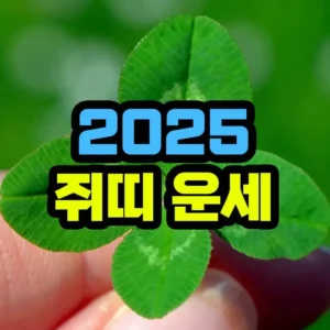 2025년 쥐띠 운세