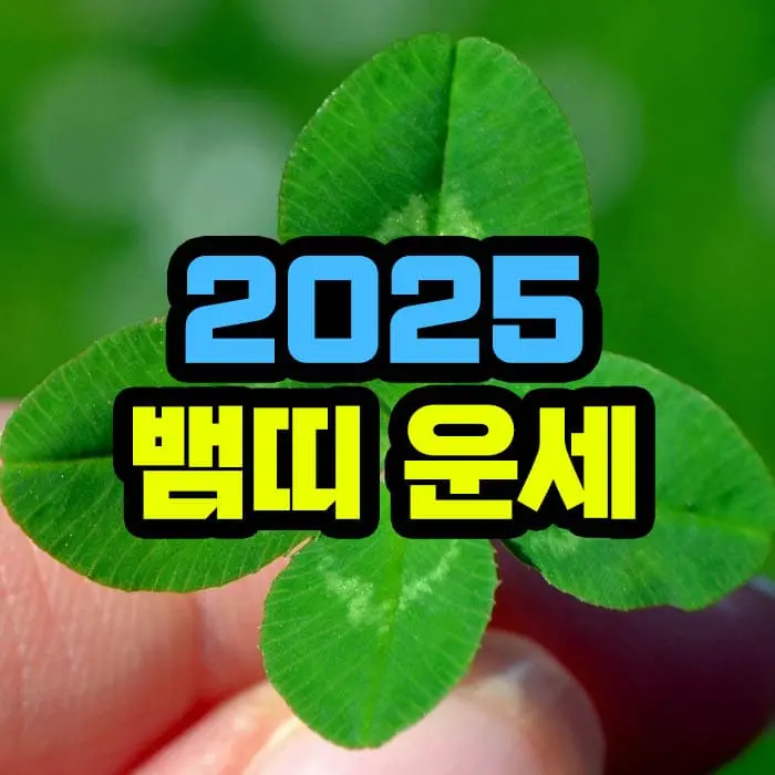 2025년 뱀띠 운세