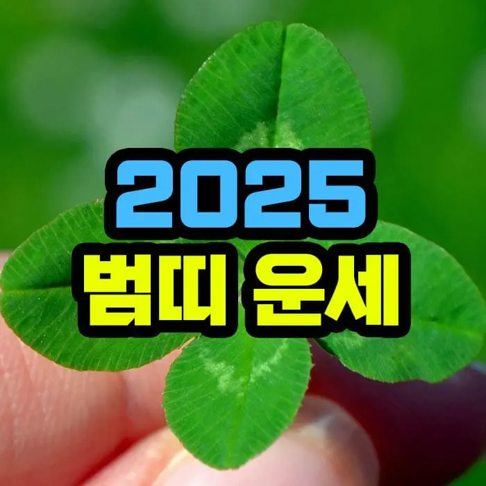 2025년 범띠 운세