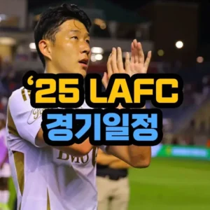 손흥민 경기일정