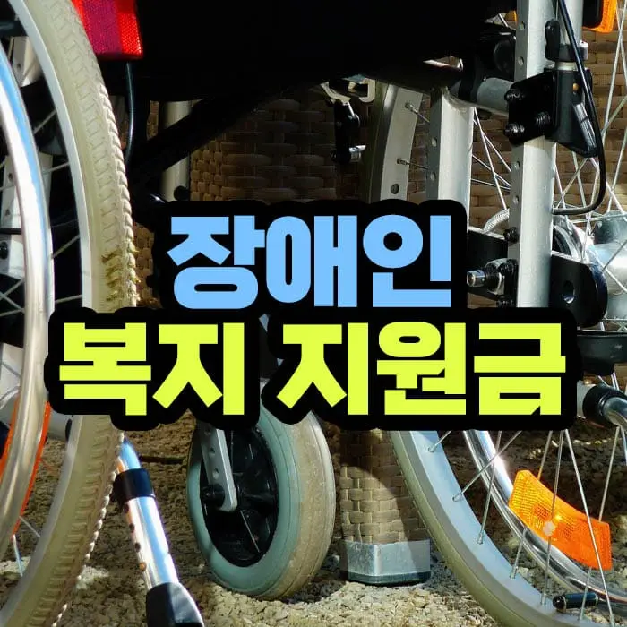 장애인 복지 지원금