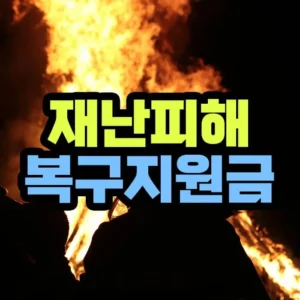 재난 복구 지원금