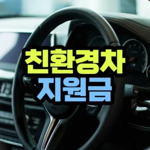 친환경 자동차 지원금