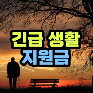 긴급 생활지원금