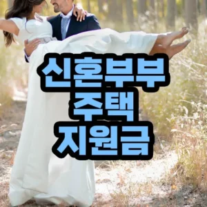 신혼부부 주택 지원금