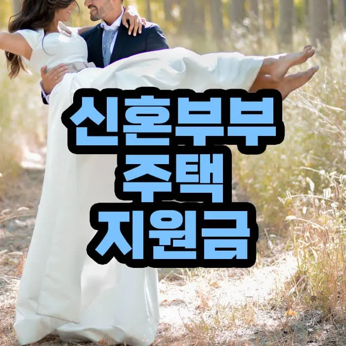 신혼부부 주택 지원금