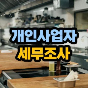 개인사업자 세무조사