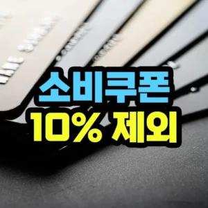 민생안정 2차 소비쿠폰