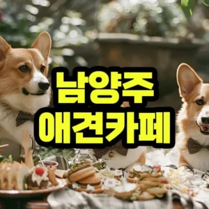 남양주 애견카페