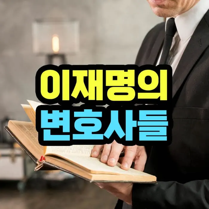 이재명 변호사들