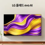 LG 4K 올레드 TV evo AI OLED65G5KNA 제품 특징 및 추천 모델